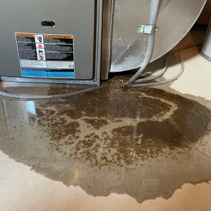 Appliance Leak Cleanup in Coleman County, TX